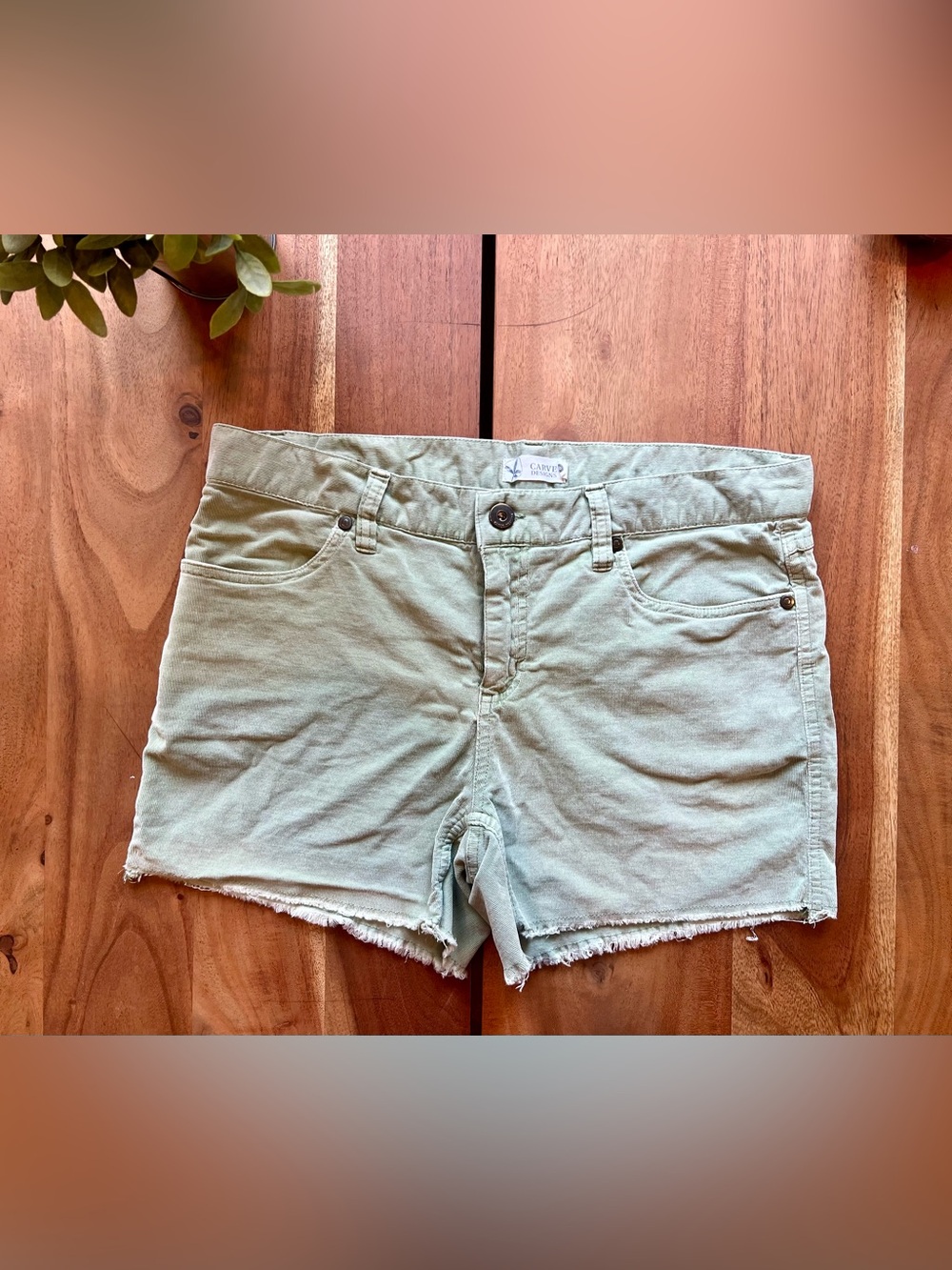 Carve Designs Women's Sage Green corduroy  Shorts